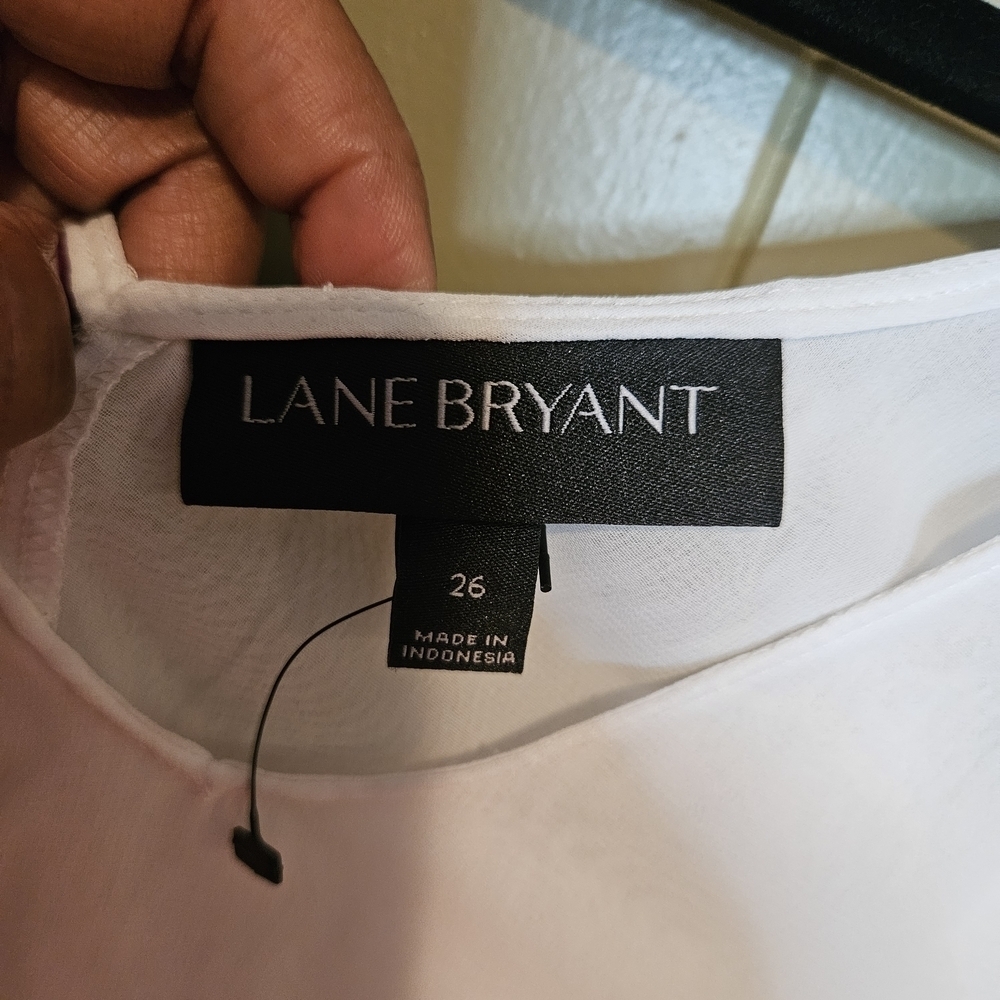 Lane Bryant Sleeveless Sheer Blouse, Womes, Size 26, White, Flowy - Picture 2 of 4